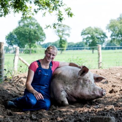 2014106301-Large-1024x683