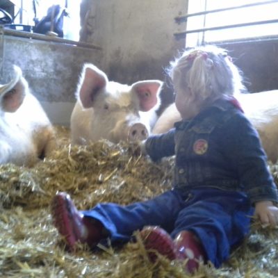 20150202_153847-1024x768