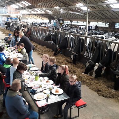 45935592-edit