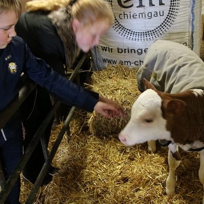 Foto_4-Boerderijeducatie-klein