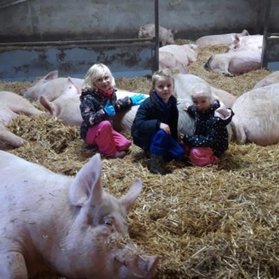 IMG-20200104-WA0009-1024x576