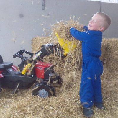 IMG_20170608_084738-1024x614