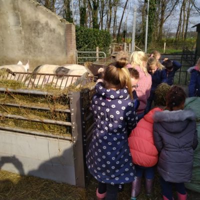 IMG_20190402_102755-1024x768