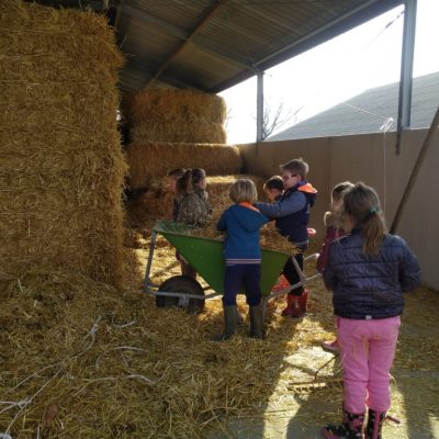 IMG_20190402_104004-1024x768