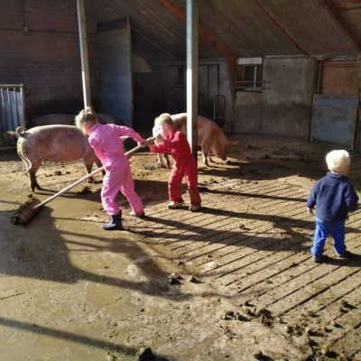 IMG_20190922_104733-1024x768